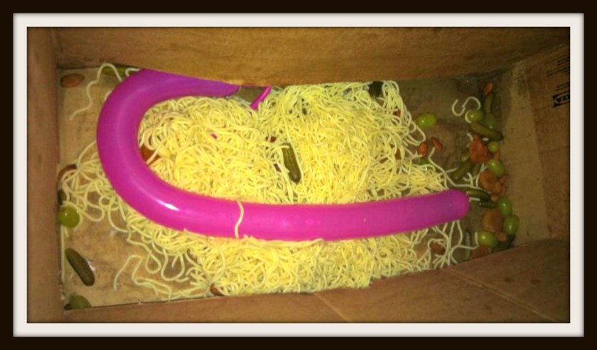 1418177_10200223493744765_531282995_n